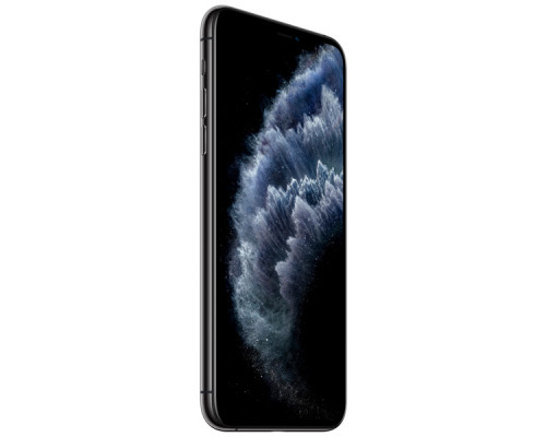 Apple iPhone 11 Pro Max 256GB Space Gray (Ростест)