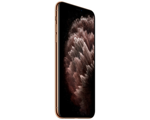 Apple iPhone 11 Pro Max 64GB Gold (Ростест)