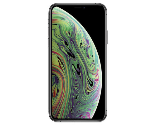 Apple iPhone XS 256GB Space Gray (Ростест)