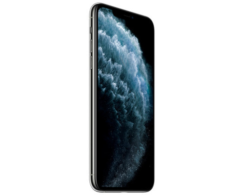 Apple iPhone 11 Pro Max 256GB Silver (Ростест)